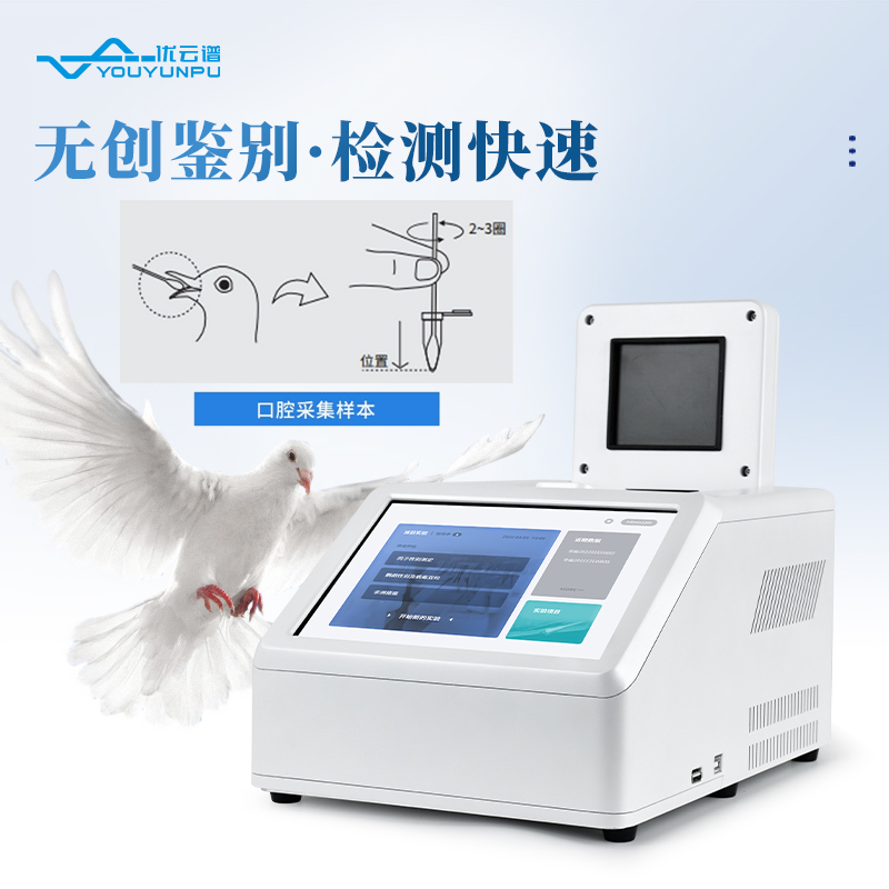 鸚鵡性別檢測儀