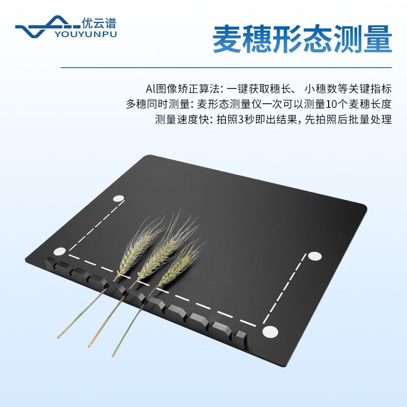 小麥表型檢測(cè)系統(tǒng)